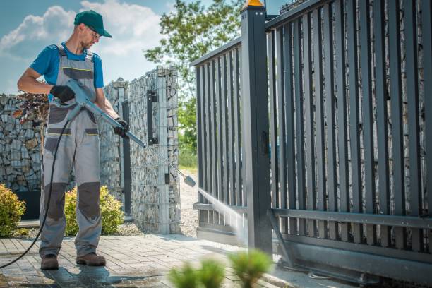 Best Sidewalk and Walkway Cleaning  in Lapel, IN